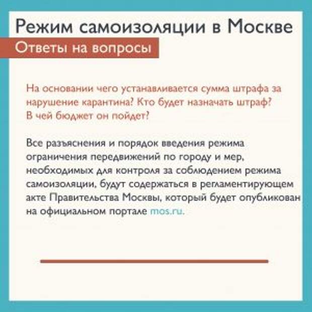 Штрафы за нарушение карантина были установлены президентом России