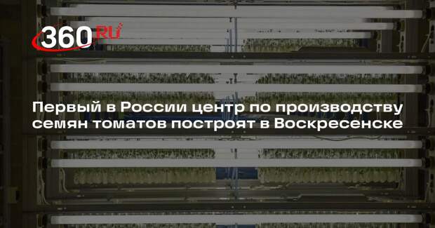 Первый в России центр по производству семян томатов построят в Воскресенске