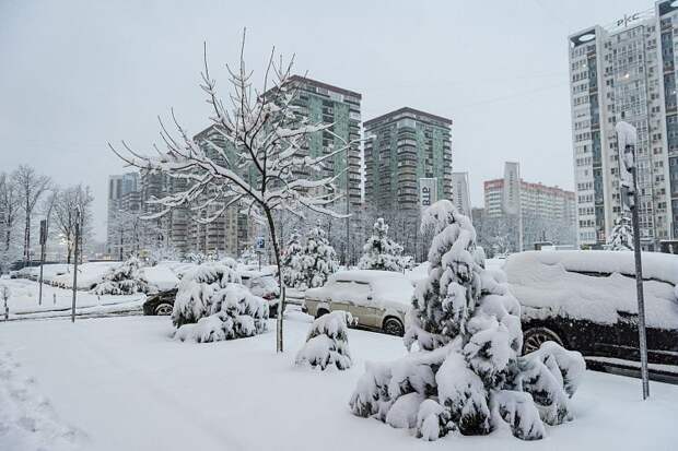 Краснодар встал намертво: утро началось с транспортного коллапса