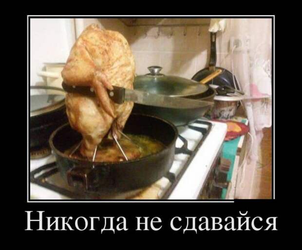 Демотиваторы