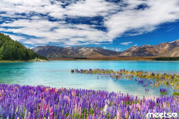 Lake Tekapo, New Zealand Lake Tekapo