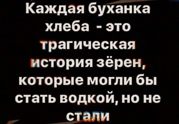 Забавные шутки и мемы из Сети