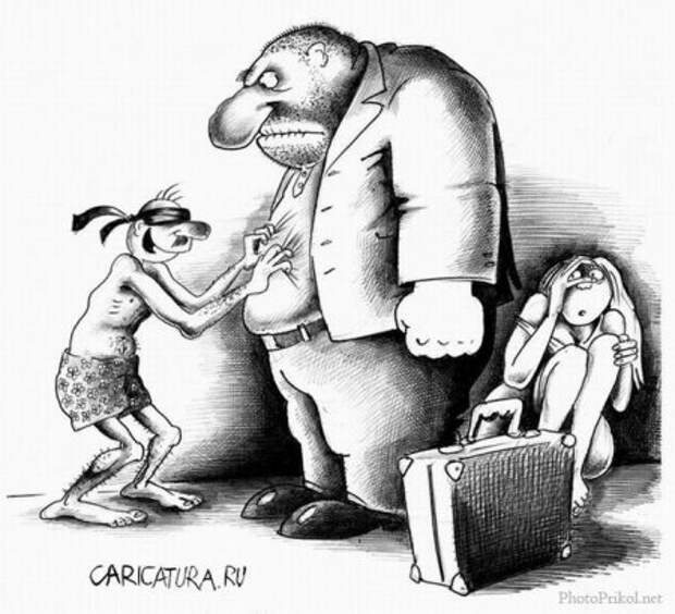 Карикатуры на среду