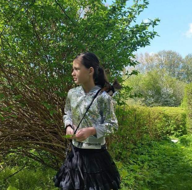 У маленького бельчонка, брошенного мамой, теперь есть семья У маленького бельчонка, брошенного мамой, теперь есть семья
