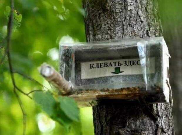 Объявления, мимо которых невозможно пройти.