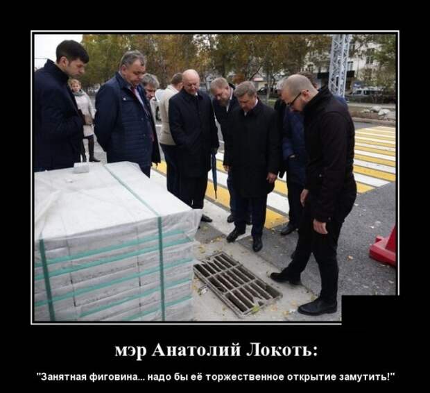Демотиваторы (20 фото)