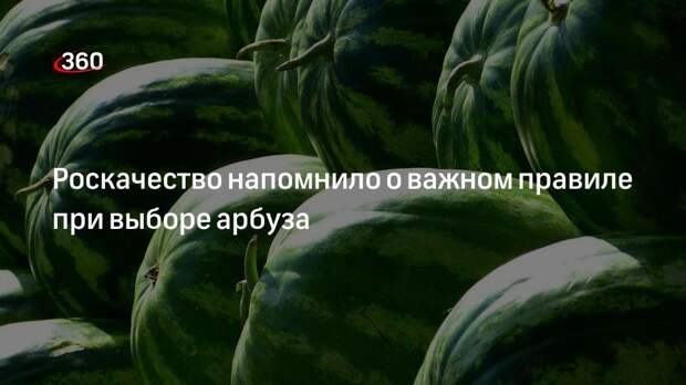 Роскачество напомнило о важном правиле при выборе арбуза