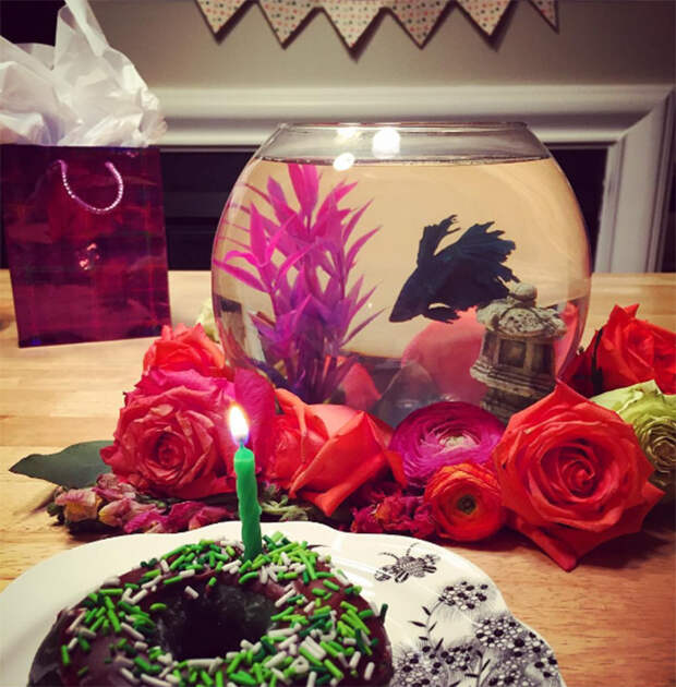 Pets-That-Have-Better-Birthday-Parties-Than-You-5706abb06b852__700
