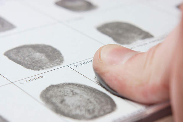 РИА: требование о дактилоскопии в Белоруссии не затронет законопослушных россиян