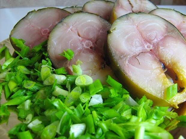 Source-of-fish-oil Source-of-fish-oil