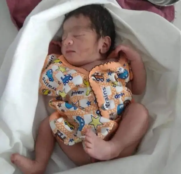 Щенята спасли новорожденную девочку, согревая её своим теплом