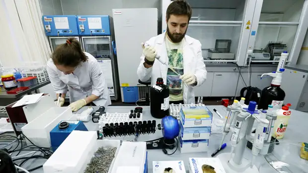 «Очередная провокация»: в Великобритании призвали WADA продлить срок дисквалификации РУСАДА