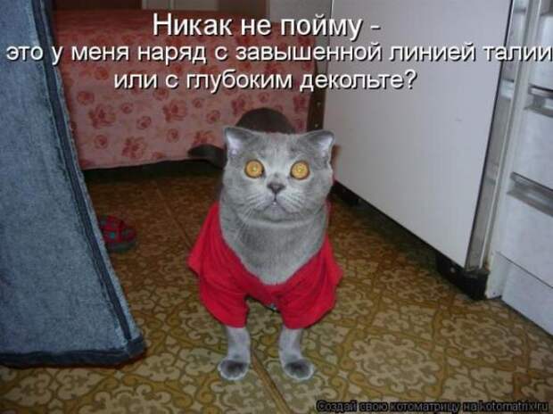 Котоматрицы (забавные картинки с надписями)
