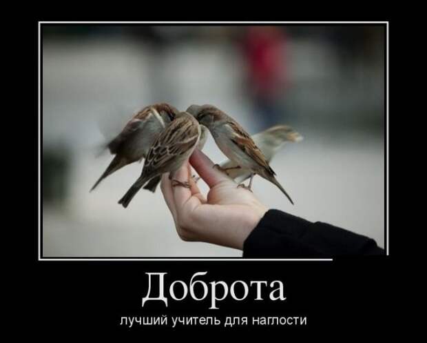 Веселая подборка свежих демотиваторов. Лучшие приколы