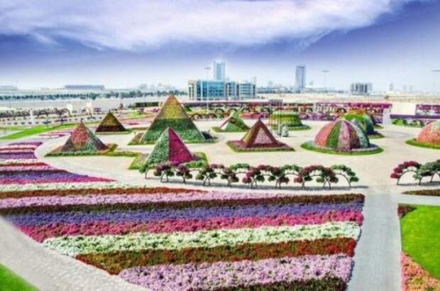 Как Вам сад в Дубае
