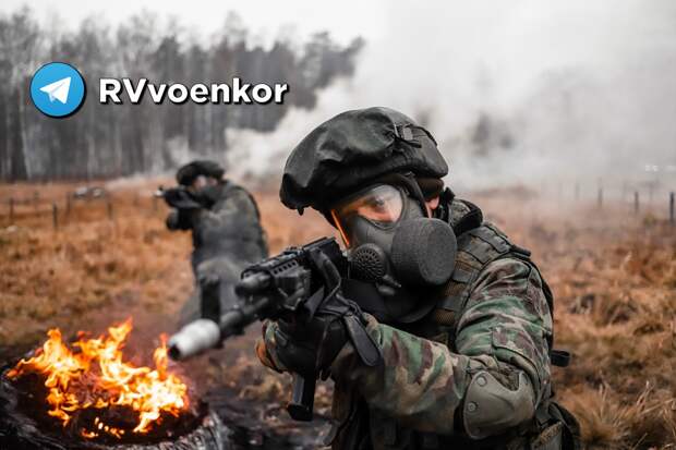 «Добропольский котёл»: Армия России завершает зачистку Нового Шахово, сломав контрнаступ ВСУ (КАРТА)