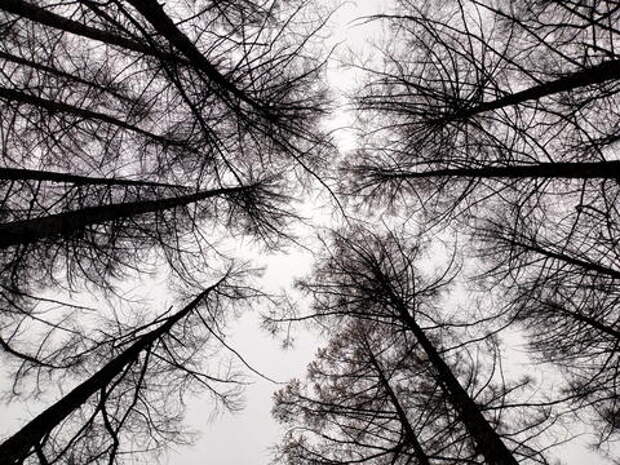 В соседнем с Кубанью регионе оказался очень грязный воздух, опасный для человеческого здоровья