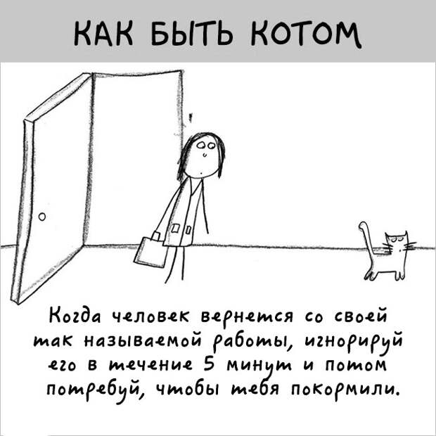 как правильно быть котом