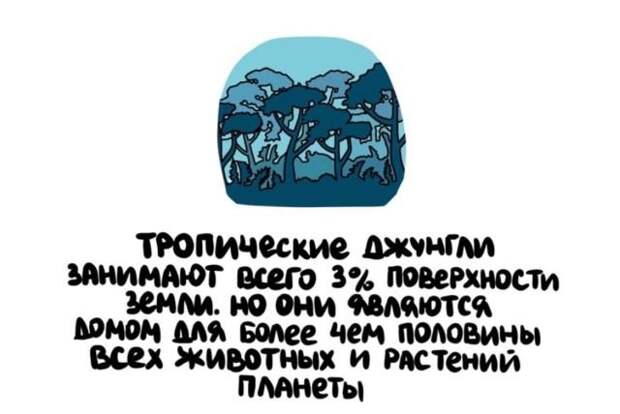 Короткие интересные факты обо всем