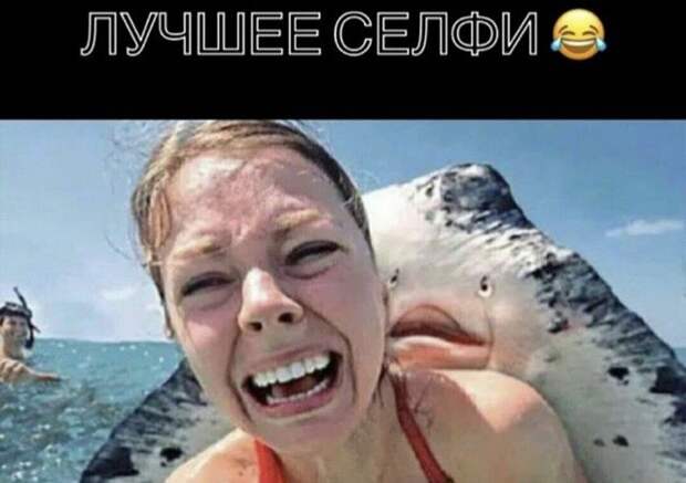 Шутки и мемы из Сети