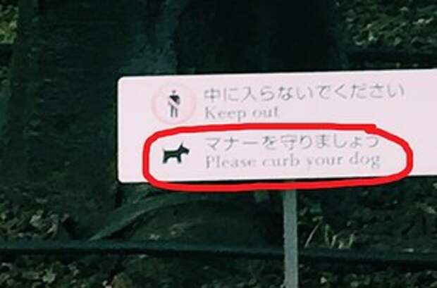 3. Собаку в Японии, видимо, можно "взнуздать" (to curb). туризм, факты, япония