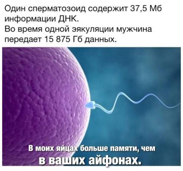 Картинки, юмор, приколы
