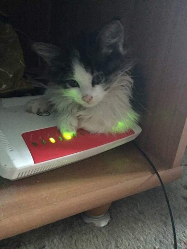http://top-funnyy.ru/wp-content/uploads/2018/05/original-1-46.jpg