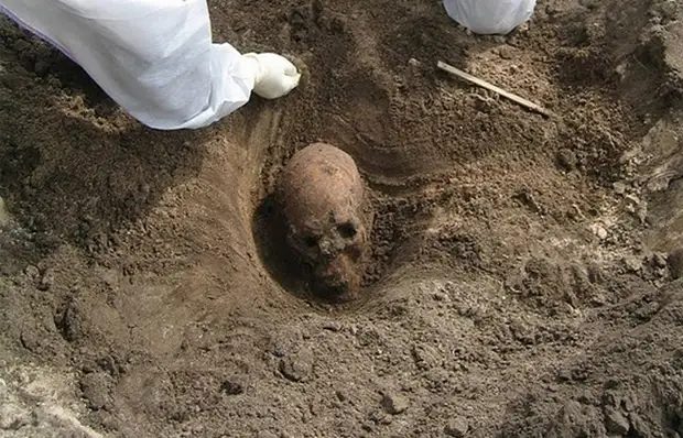 Зубы с узором. Зубы с узором.