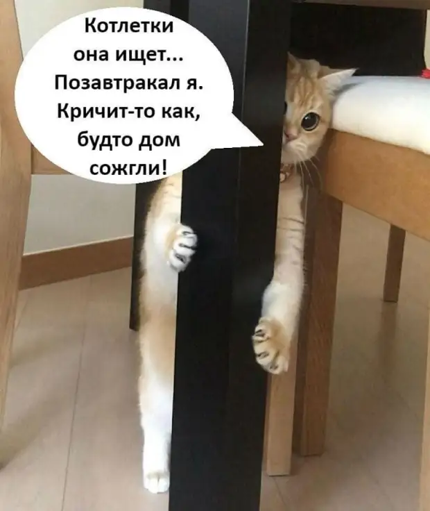 Золотая подборка юмора для Вас