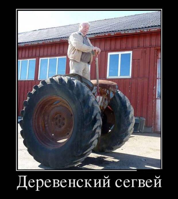 Демотиваторы (30 фото)