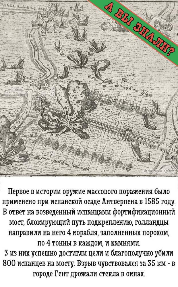 интересные факты