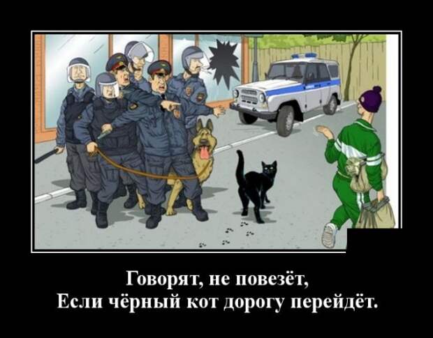 Демотиваторы (20 фото)