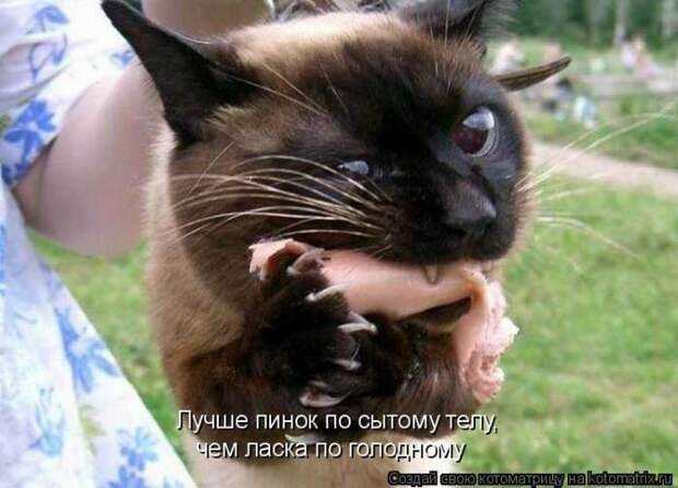 Мысли вслух :)