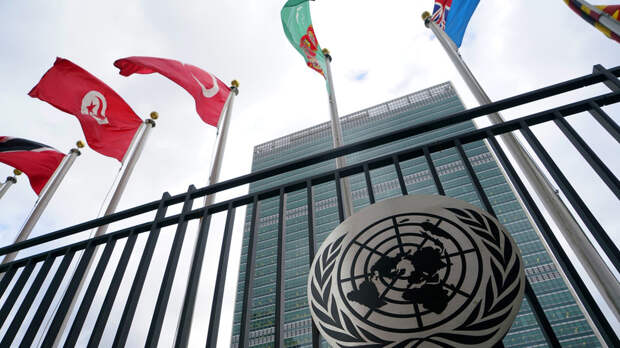 МИД: отправка миротворцев ООН на АЭС «Бушер» зависит от согласия Ирана