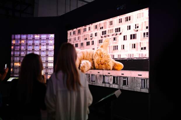 Выставка цифрового искусства «Страна. Связь. Технологии»