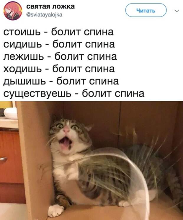 Вечерние приколы Вечерние приколы