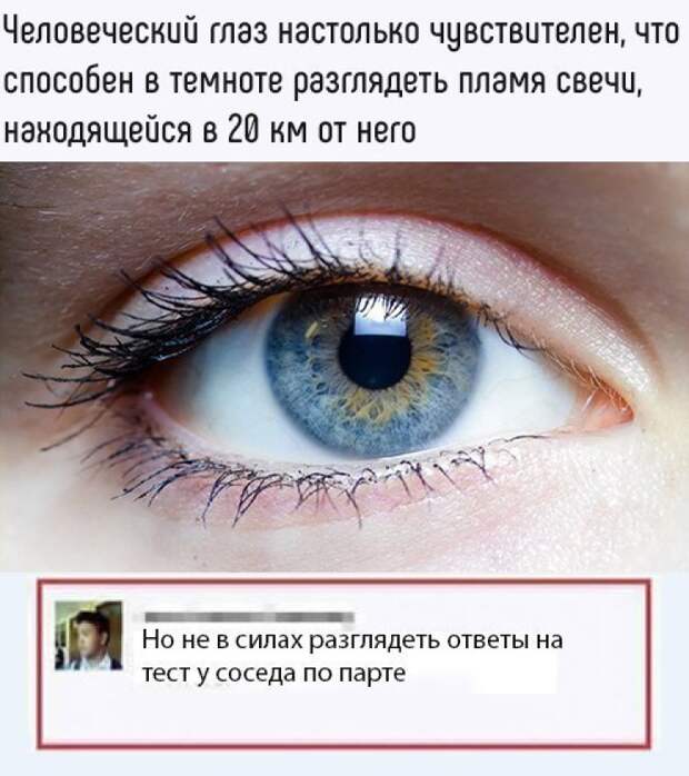 M07EfhoHoVg