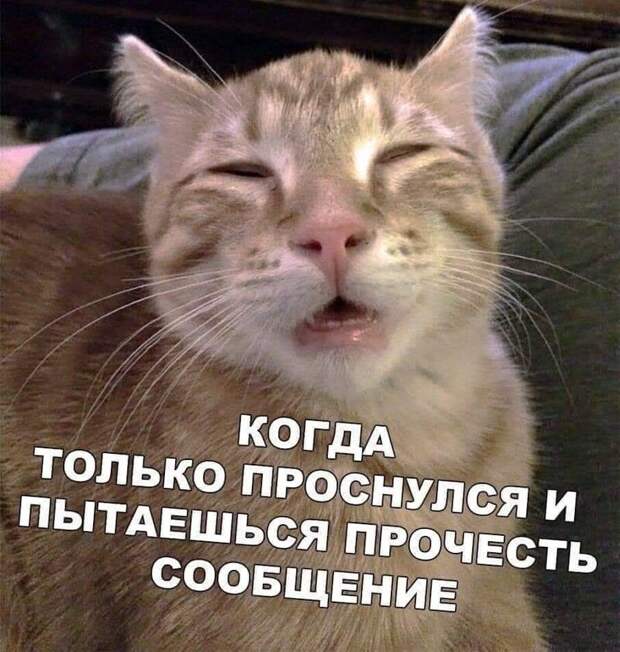 Веселые истории о нас (очередной выпуск)