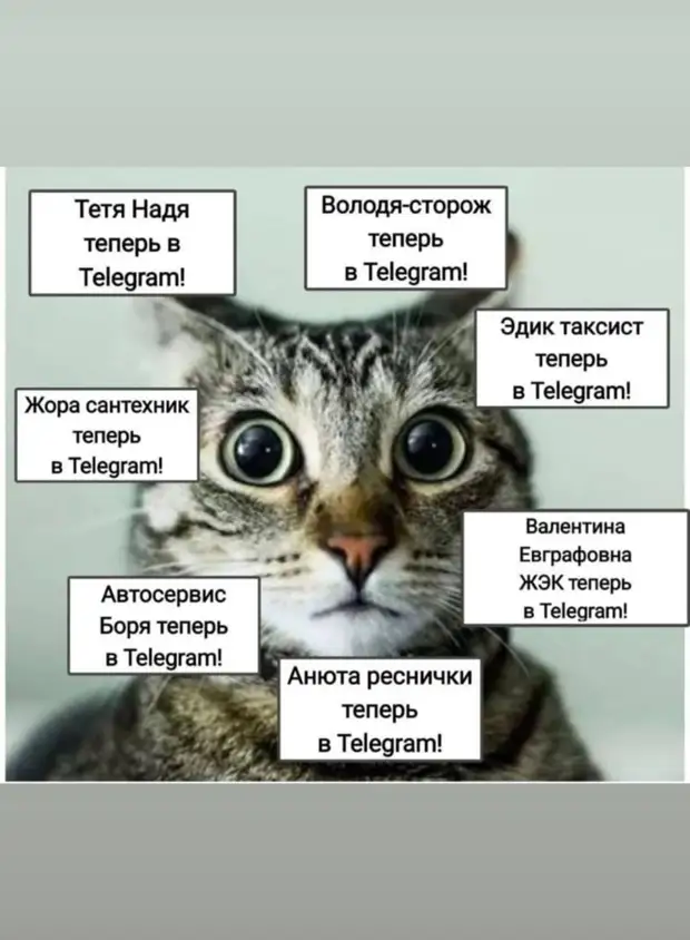 Юмор из интернета 712