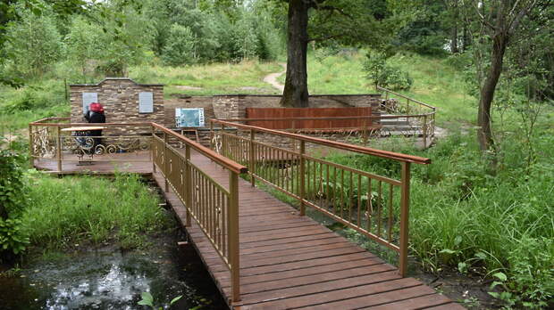 В Подмосковье появилась карта родников