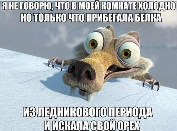 Картинки со смешными подписями