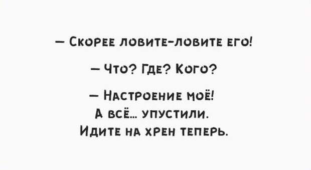 Картинки, юмор, приколы