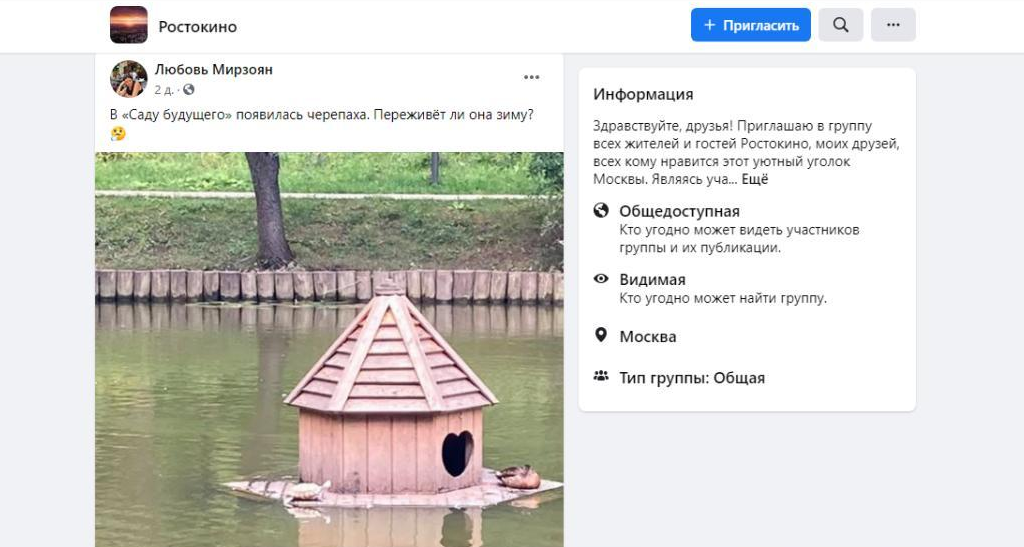 Фото дня: черепаха в парке «Сад будущего»