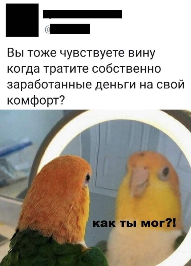 Пост о комфорте и людях, которые знают в нем толк Пост о комфорте и людях, которые знают в нем толк