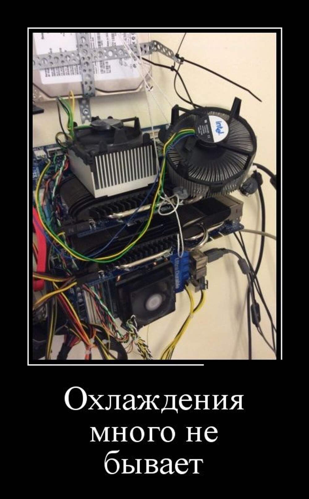 Канифоли много не бывает