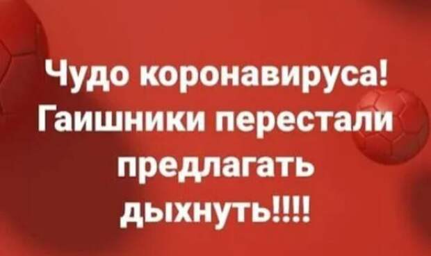 Во время урока Вовочка смотрел в окно на сквер, где пацаны гоняли на скейтах...