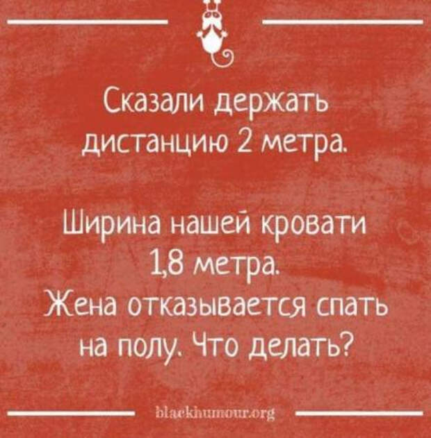 РєРѕСЂРѕРЅРѕРІРёСЂСѓСЃ7 (442x450, 150Kb)