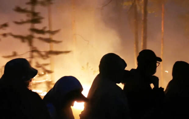 "Руки сейчас сгорят": огонь захватывает леса в Якутии и Карелии