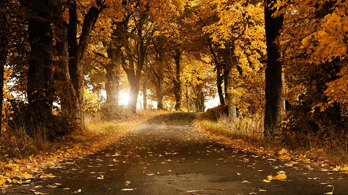 autumn_breeze-1600x900 (800x493, 194Kb)