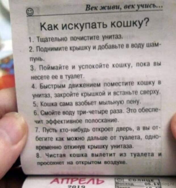 Прикольные шутки и высказывания (35 картинок)